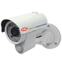 TWG-W36 監視器 PIR 感應式白光攝影機